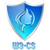 W3-CS World Wide Women in Cyber Security